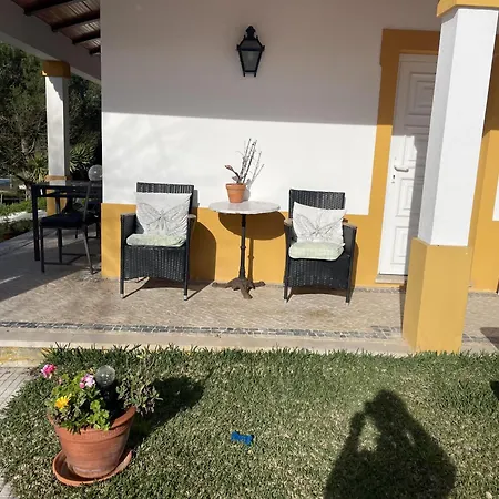 Sleeps 8 With Pool & Horses